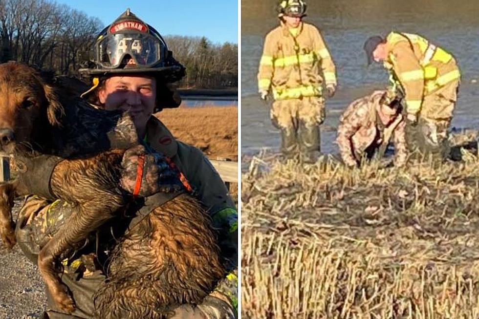 Stratham, NH Firefighters Rescue Hunter from the Mud