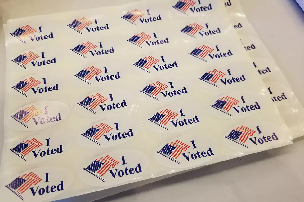 How To Vote in NH's Primary Election