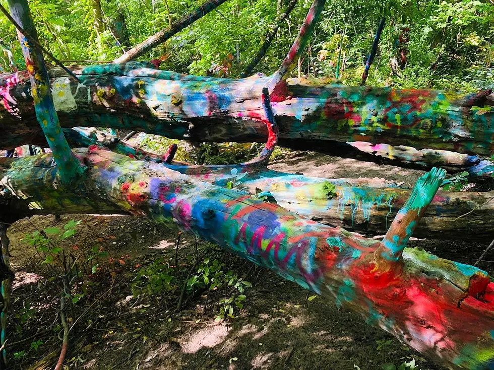 Visiting Traverse City Michigan’s Hippy Tree Is A Magically Vibrant Adventure