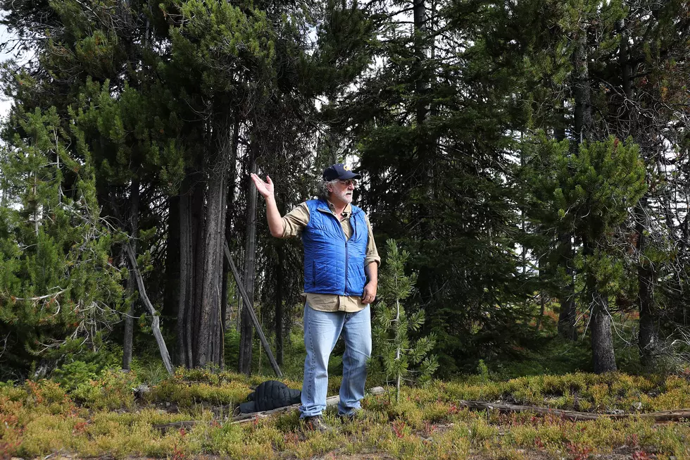Montana Residents Have Better Odds of Finding Bigfoot Than Winning the Lottery