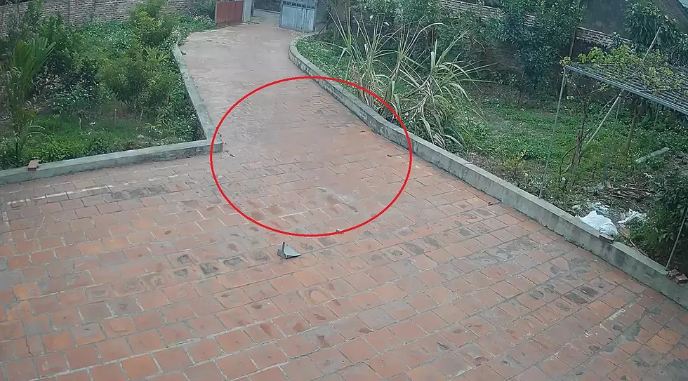 Weird Security Video Appears to Show &#8216;Ghost&#8217; Coming Up Driveway