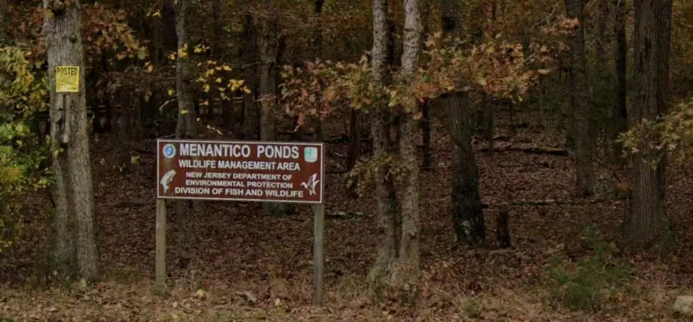Potential Bigfoot Sightings at Menantico Ponds in Millville, New Jersey