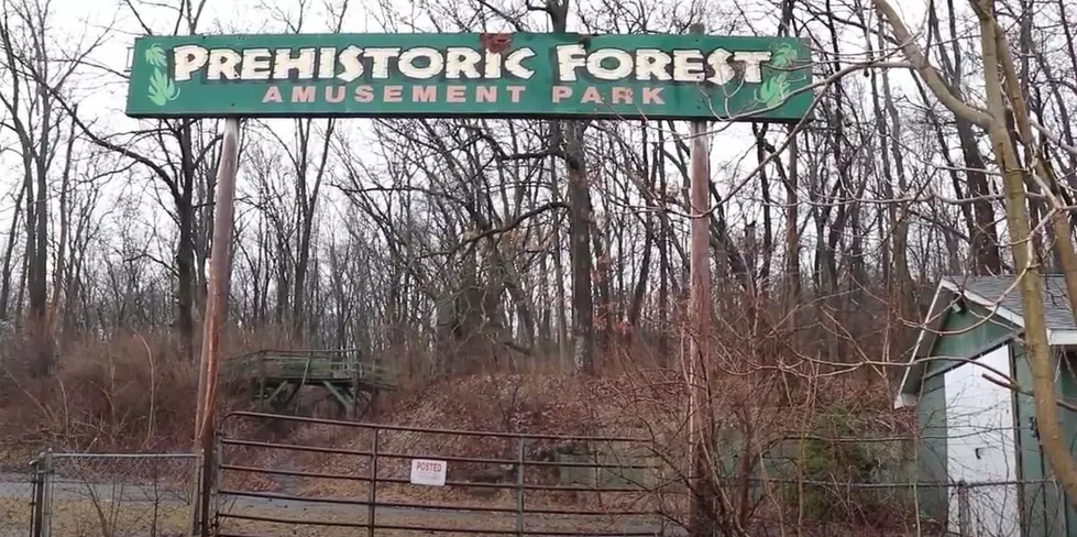 Exploring the Abandoned Prehistoric Forest Amusement Park near Jackson, Michigan