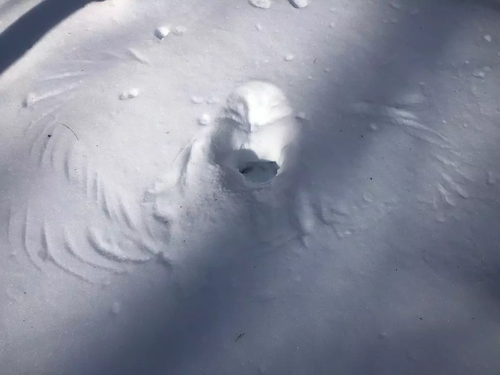 New Hampshire Fish &#038; Game Struggle To Make Sense of Weird Snow Formation