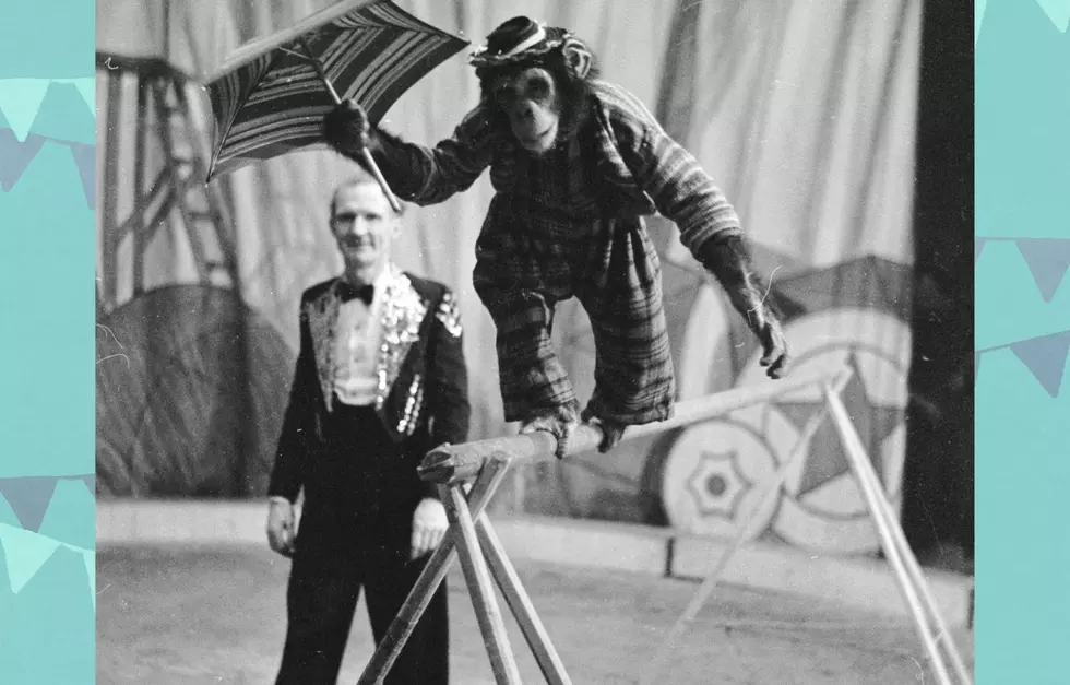 How An Escaped Circus Monkey Started of America’s Best Loved Zoos in Boise, Idaho