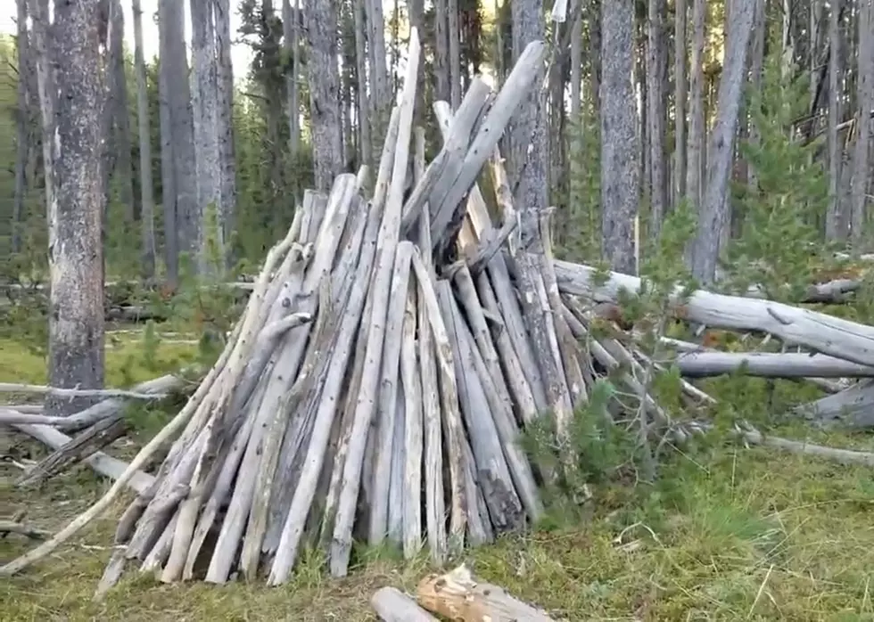 Yes, These Odd Stick Formations Could be Bigfoot Houses Like This One Found in Yellowstone