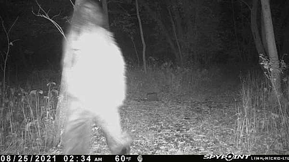 ‘Bigfoot’ Caught on Cam in the Woods near St Cloud, Minnesota is a Total Hoax