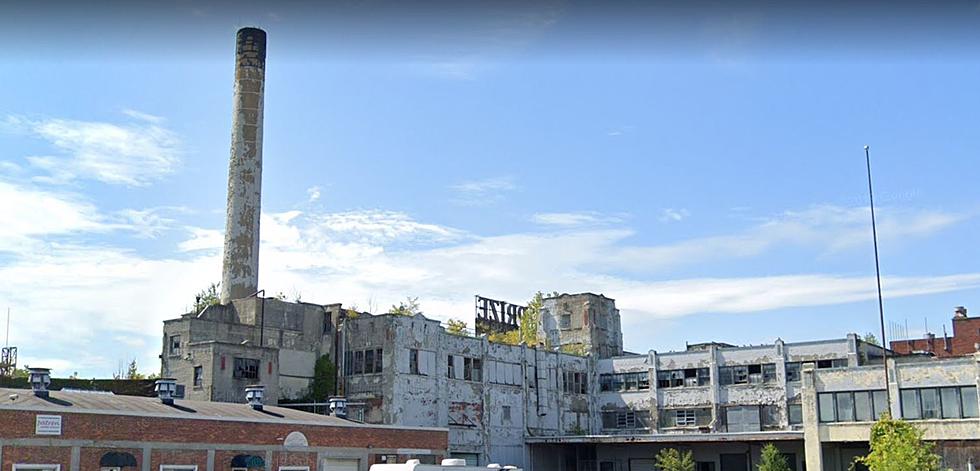 This Decaying Warehouse in Albany, New York is Dumping Ground for Thousands of Forgotten Toys