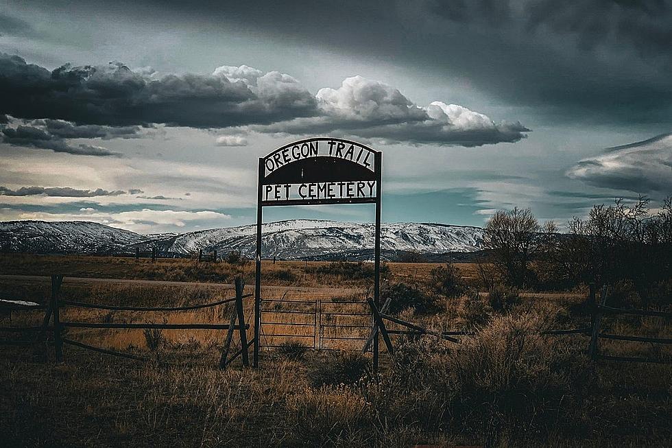 Pet Cemetery Along Oregon Trail Is Frightening And Fascinating