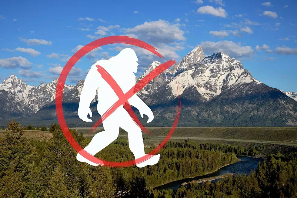 Bigfoot Has Abandoned Wyoming? No New Sightings Since 2015