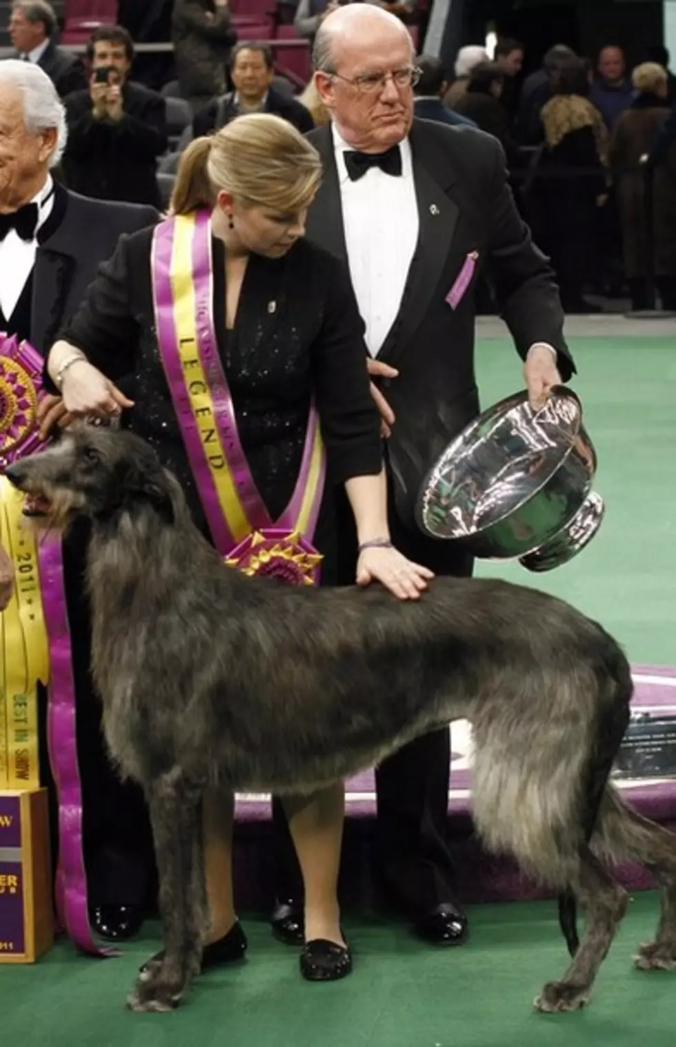 Which Pooch Snagged Best In Show Honors?