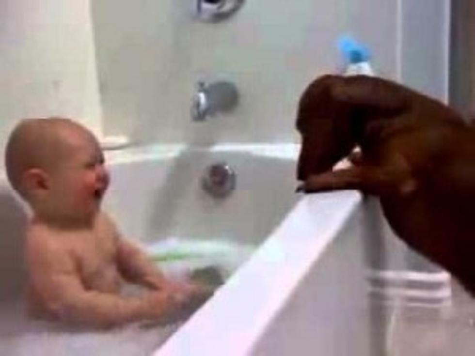 Bathtime Goes To The Dogs [Video]