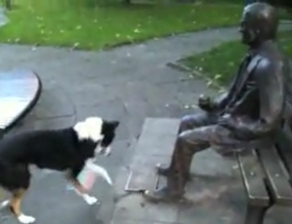 Dog Gets Rejected by a Statue [Video]