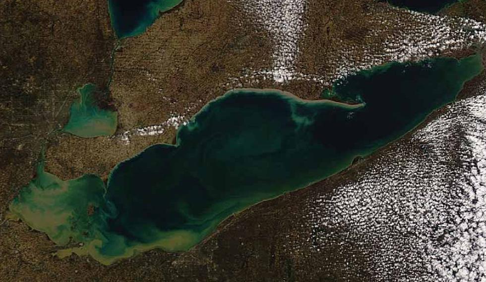 Massive Algae Bloom Threatens Lake Erie and Sport Fish