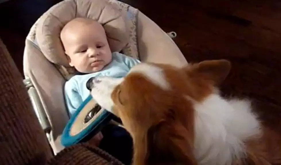 Babies Make Bad Fetch Partners! [VIDEO]