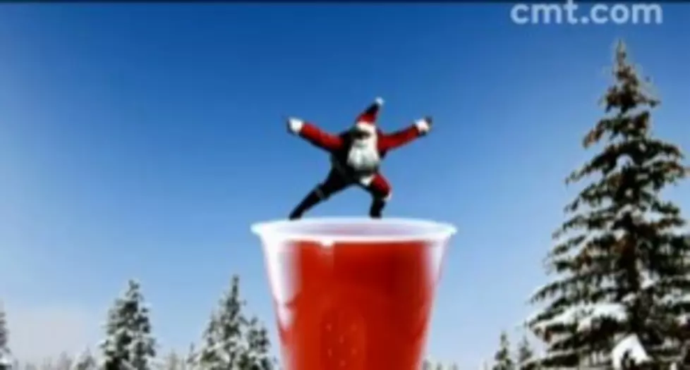 Red Solo Cup (The Holiday Version) [Video]