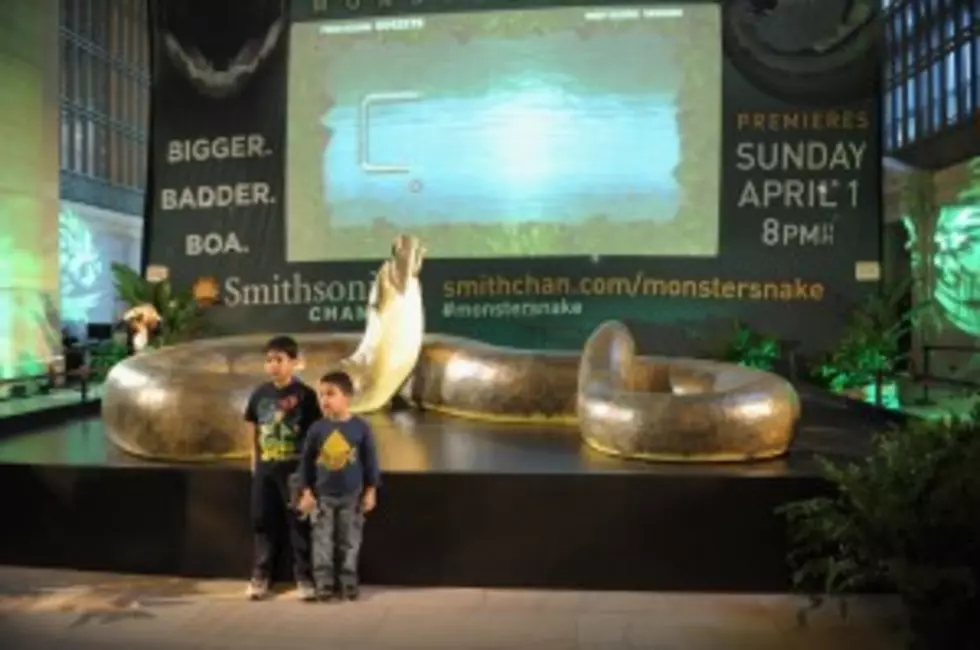 Titanoboa &#8211; The Biggest Snake That Ever Lived [VIDEO]