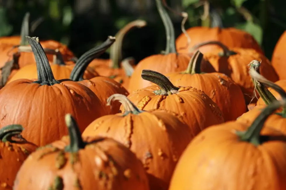 Things Are Perfectly Ripe At Pumpkinville