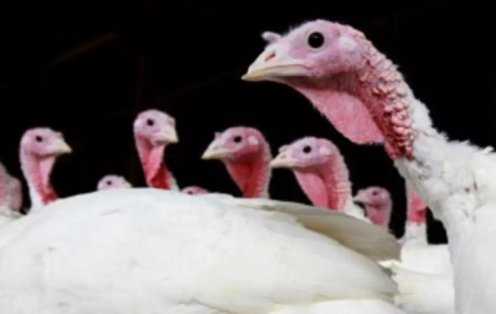 Thanksgiving By The Numbers&#8230;How Much Will It Cost You??