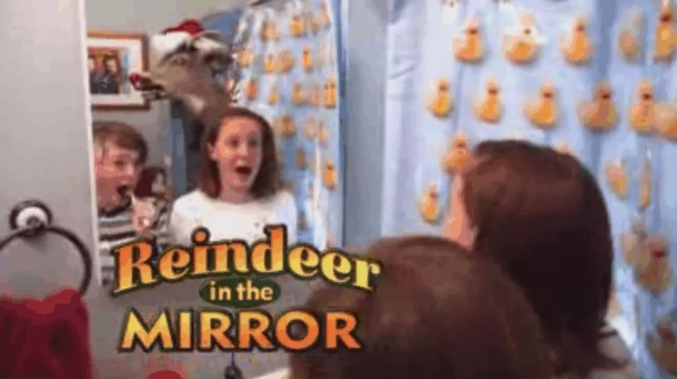 Reindeer In The Mirror [VIDEO]