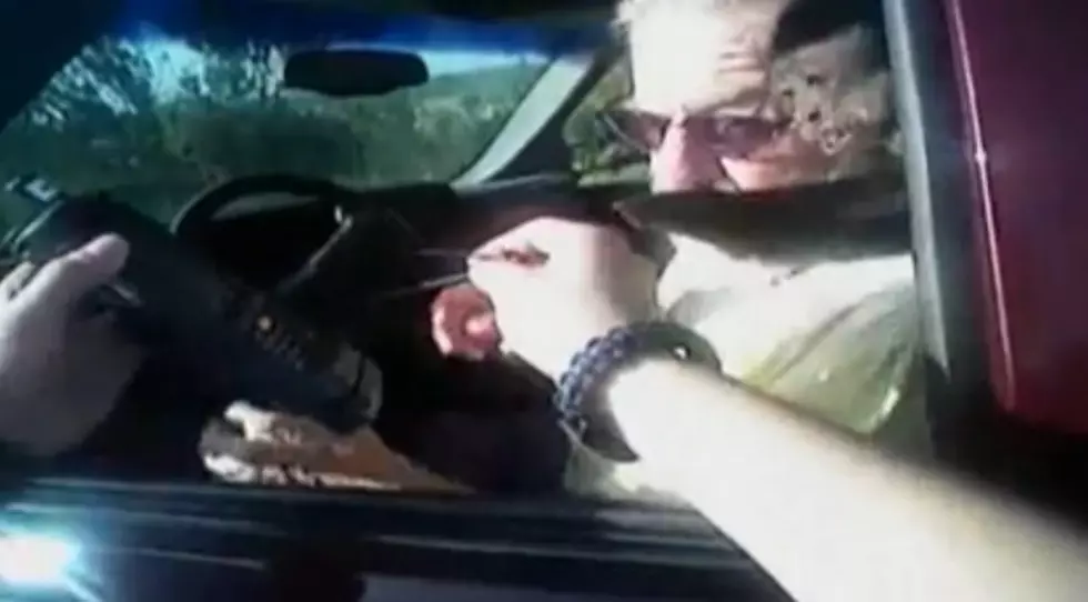 Monkey Attacks Cop During Traffic Stop [VIDEO]