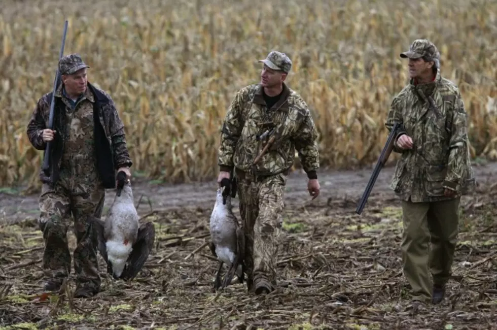 Bag Limits Up For New York Goose Hunters