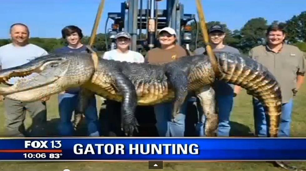 VIDEO: State Record 727-Pound Alligator Caught In Mississippi [WARNING: GRAPHIC]