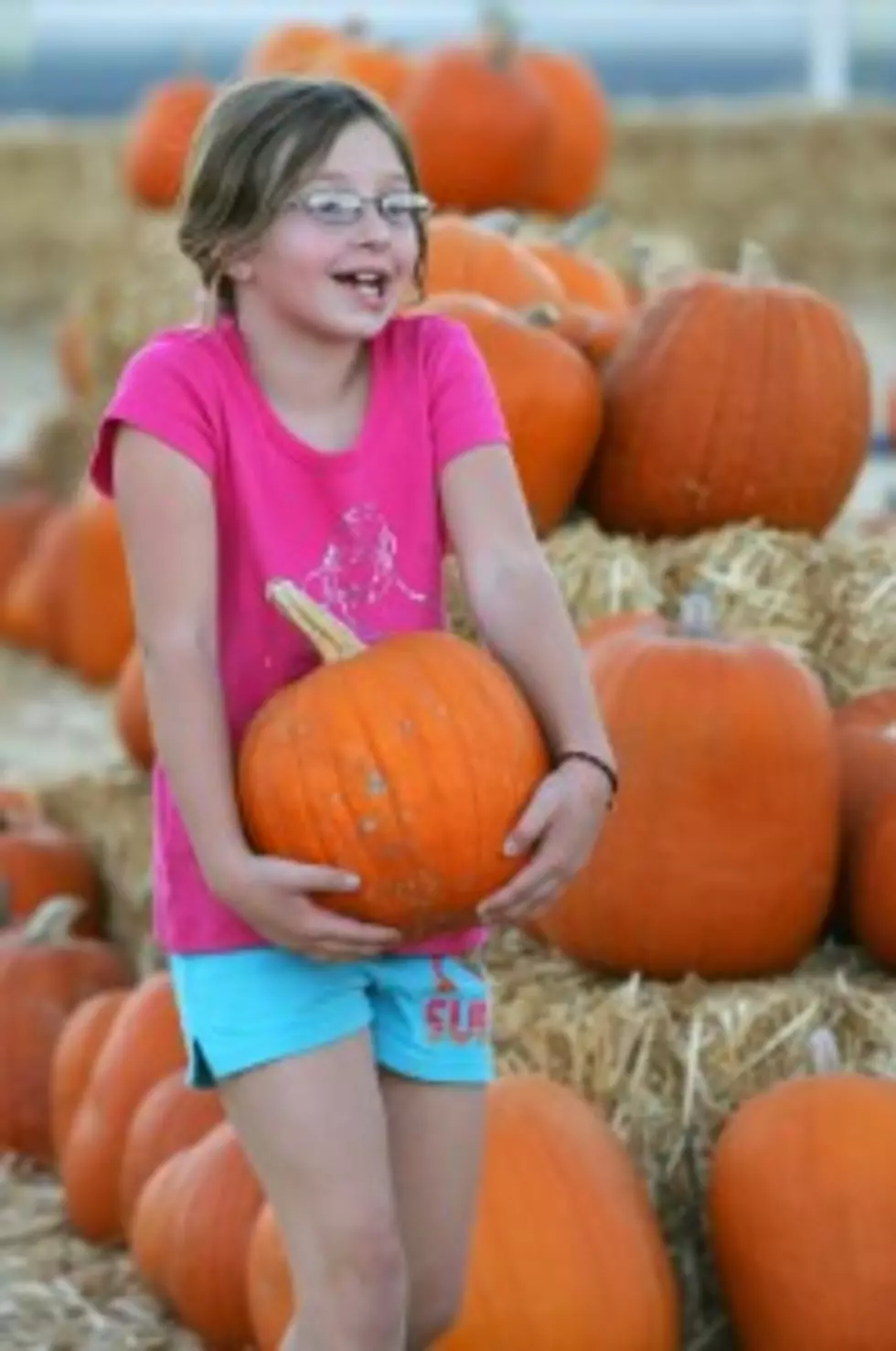 Get A Little Pumpkin In Your Life With These Fall Activities!