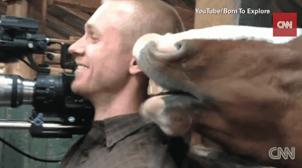 Cameraman Keeps His Cool As A Horse Nibbles On His Ear [VIDEO]