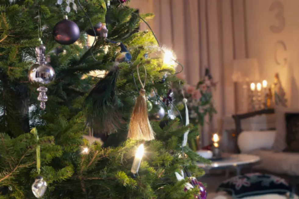 Why This Man Has Kept His Live Christmas Tree Up for 40 Years [VIDEO]