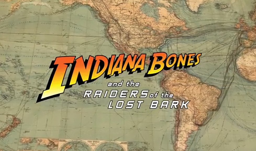 Move Over Harrison Ford For &#8216;Indiana Bones&#8217; [VIDEO]