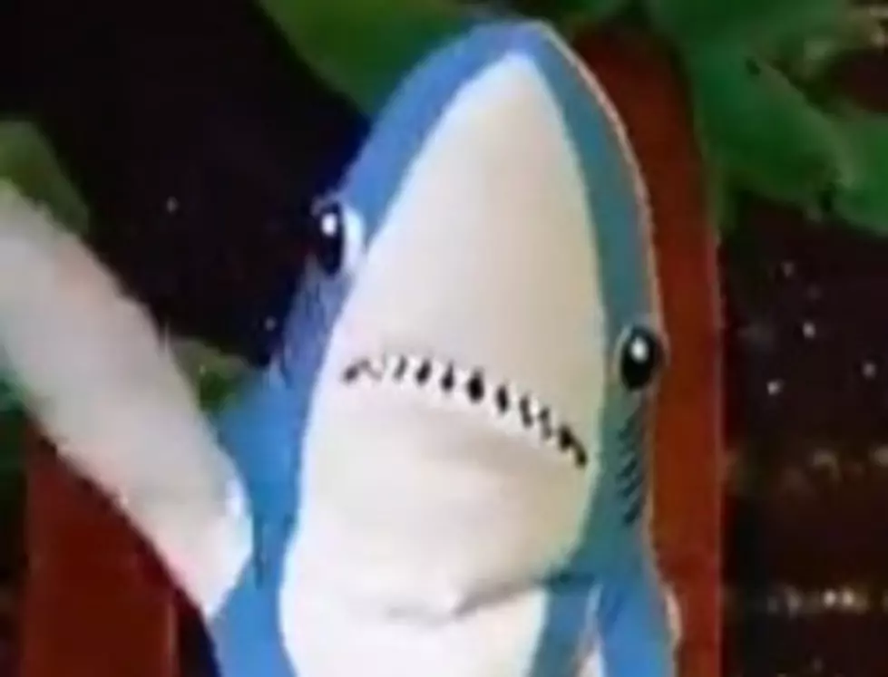 Left Shark Steals Super Bowl Halftime Show