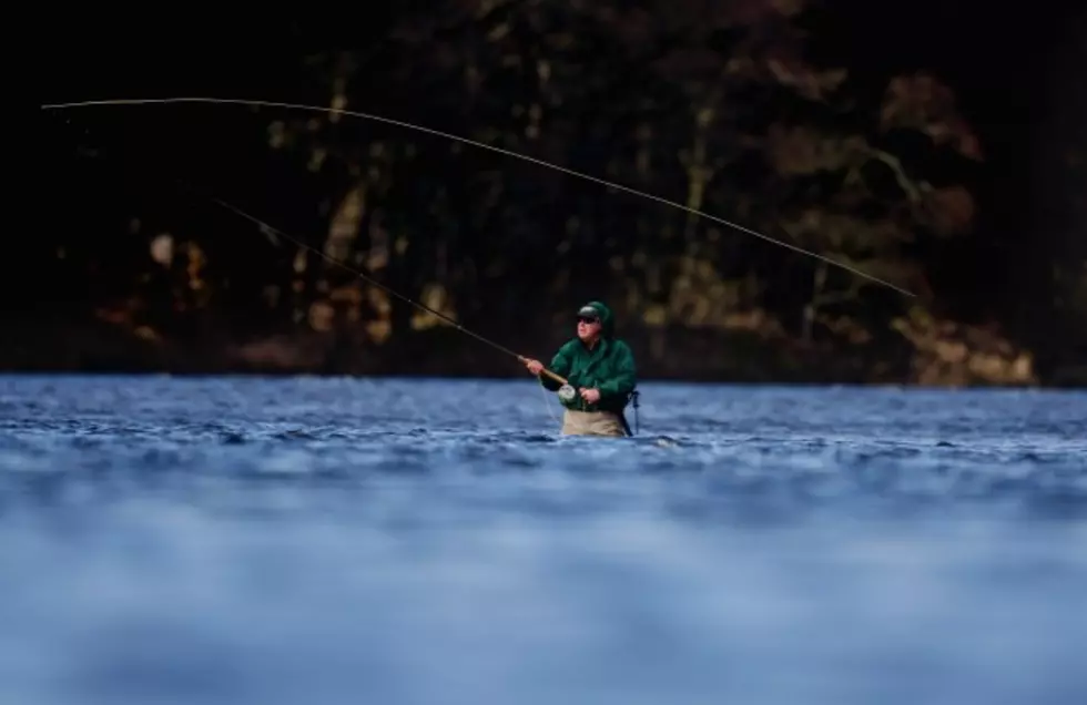 New York&#8217;s Trout Season Starts Wednesday &#8211; View The Stocked Areas In Your County Here