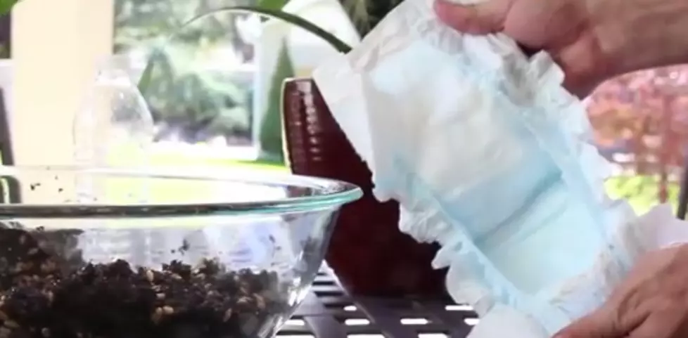 DIY: Why Your Plants Need A Diaper + It Will Blow Your Mind [VIDEO]