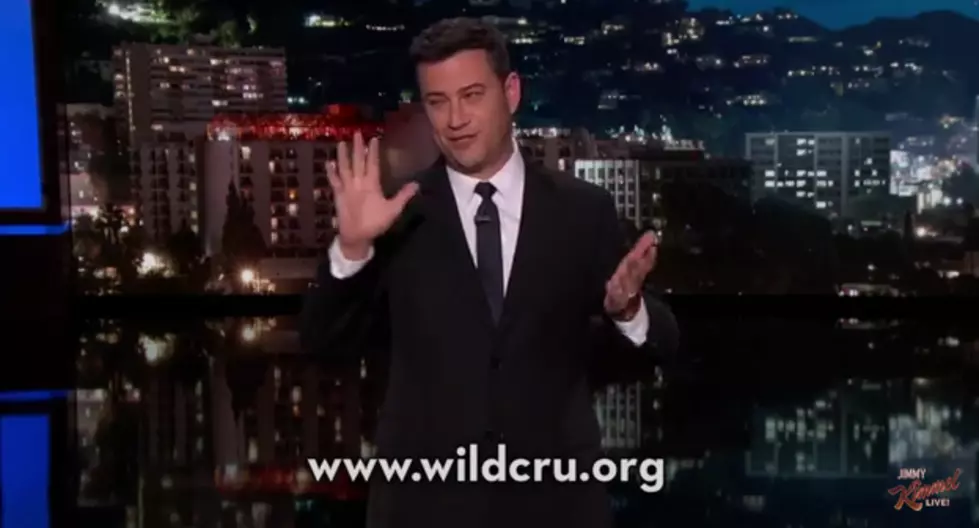 Jimmy Kimmel Gets Super Emotional Over Cecil the Lion Killing [VIDEO]