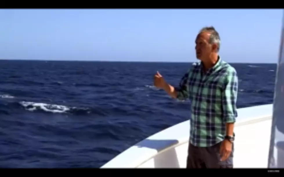 Journalist Complains About Not Seeing Any Whales, Until&#8230; [VIDEO]
