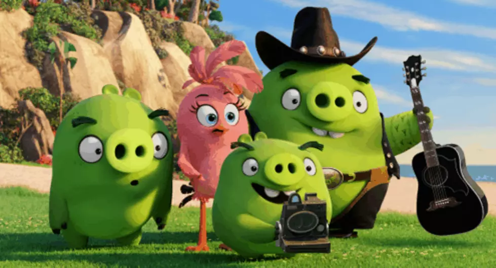 Blake Shelton Cast As Little Piggy in Angry Birds Film Watch Trailer Now
