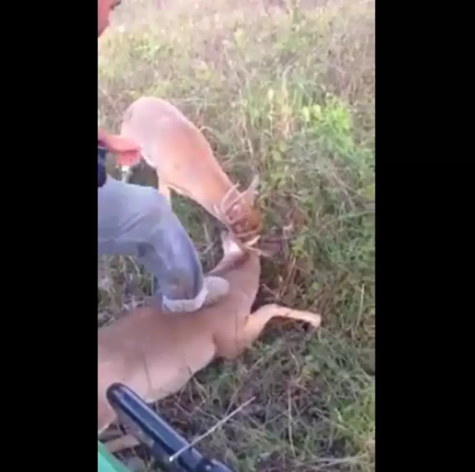 WATCH: Farmer Rescues 2 Bucks Tangled up After Sparring [VIDEO]