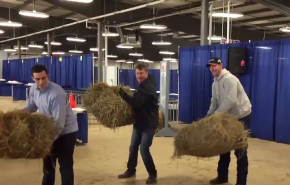 Clay Wins The Hay Bale Toss At WNY Farm Show [VIDEO]