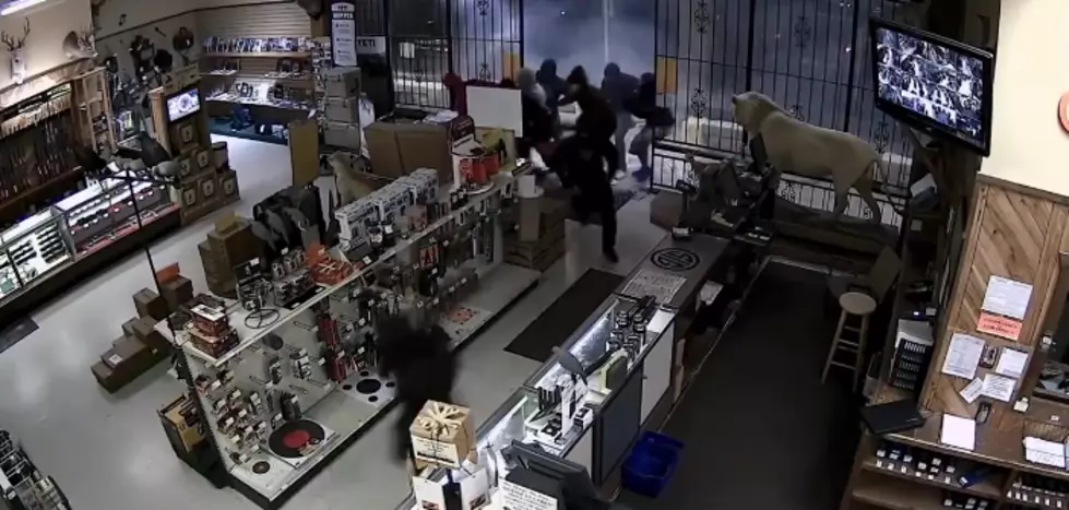 WATCH: Huge Gun Store Robbery Caught on Tape After Pulling Down Store Doors [VIDEO]