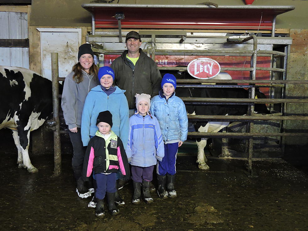 Clay Moden’s Tour Of Niefergold Dairy in Lawtons, NY [VIDEO]