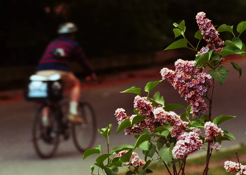 Slow Roll Buffalo Maps Out Socially Distanced Rides