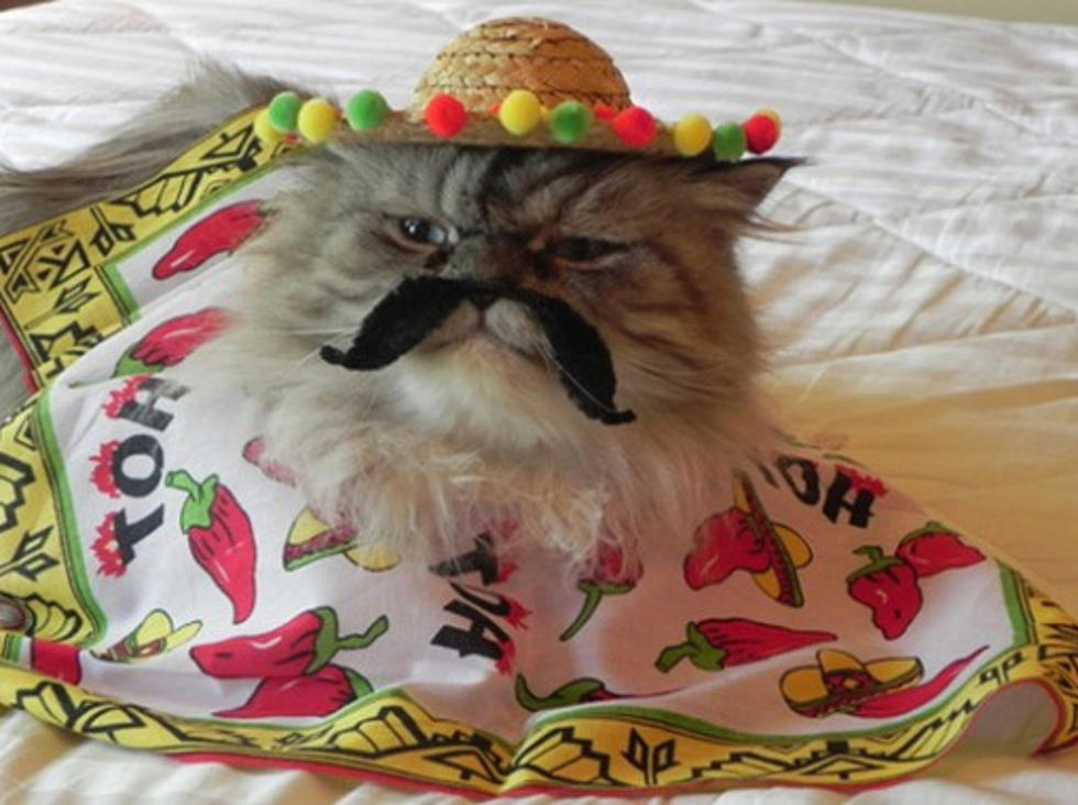 Do You Know What Cinco de Mayo Really Is?