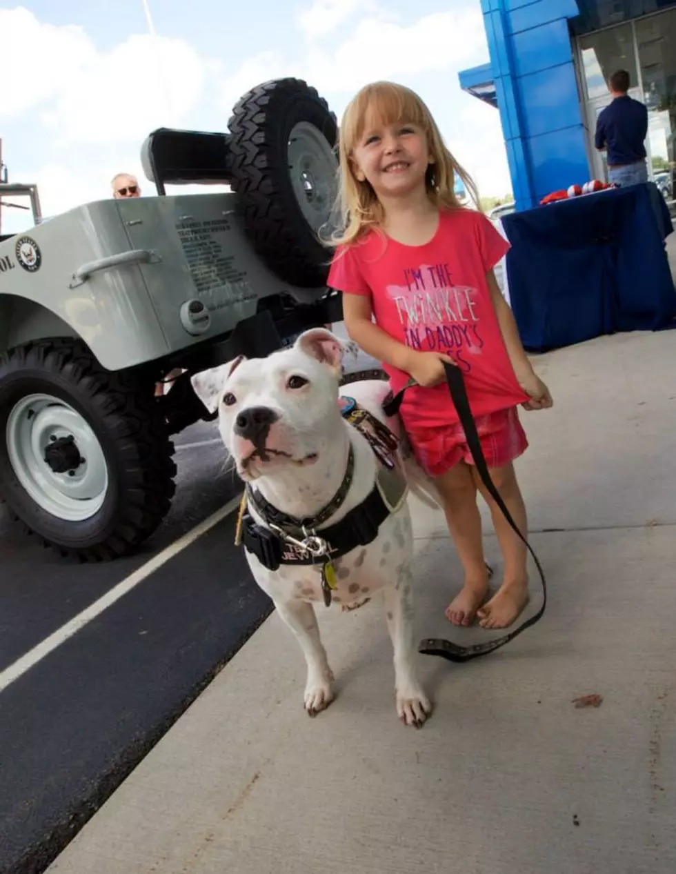 Basil Family Dealerships&#8217; Vehicles For Vets Summer Campaign + Events Return