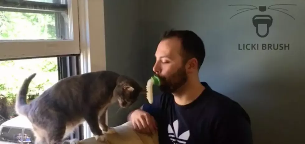 Have You Ever Wanted to Lick Your Cat? This Will Let You [VIDEO]