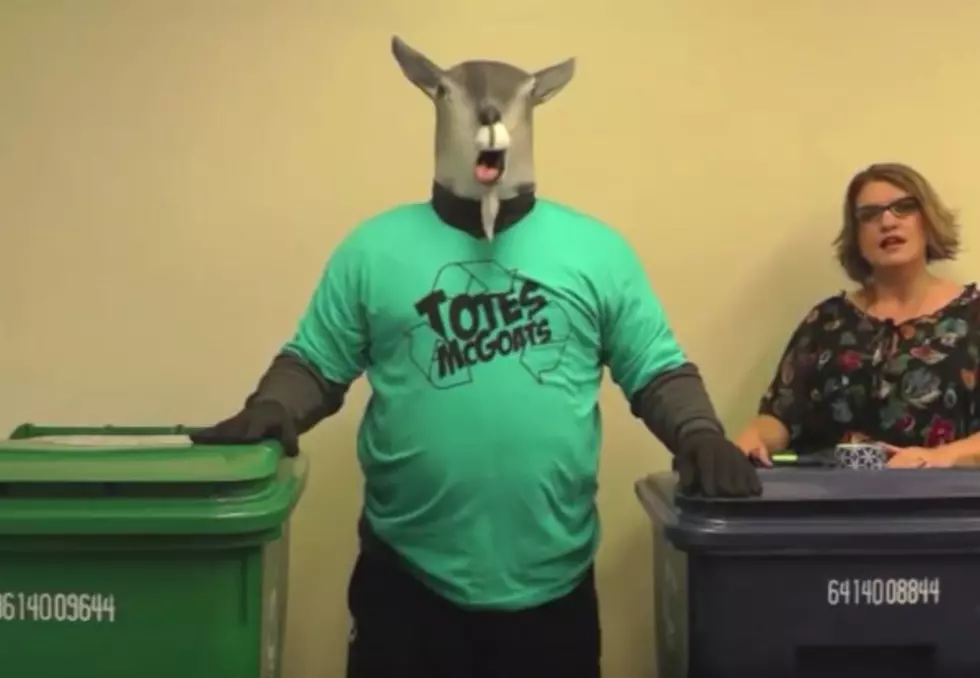Totes McGoats Shows Big Results With Recycling in Niagara Falls