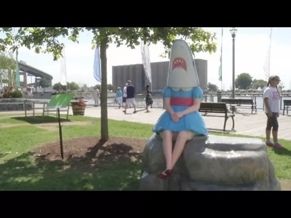 Shark Girl Is Back!