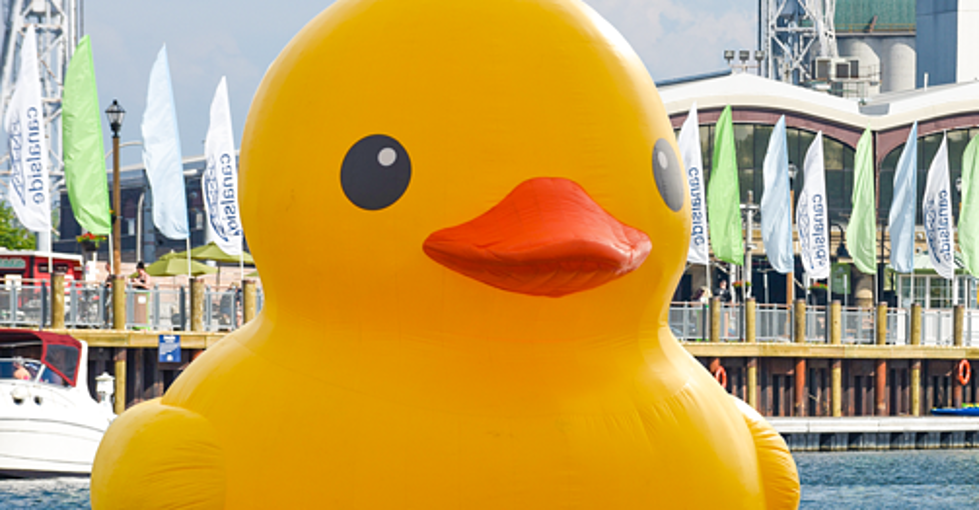 World’s Largest Rubber Duck Coming to Buffalo