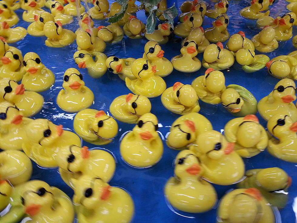 Canal Fest Duck Race Raises Thousands of Dollars for Charity