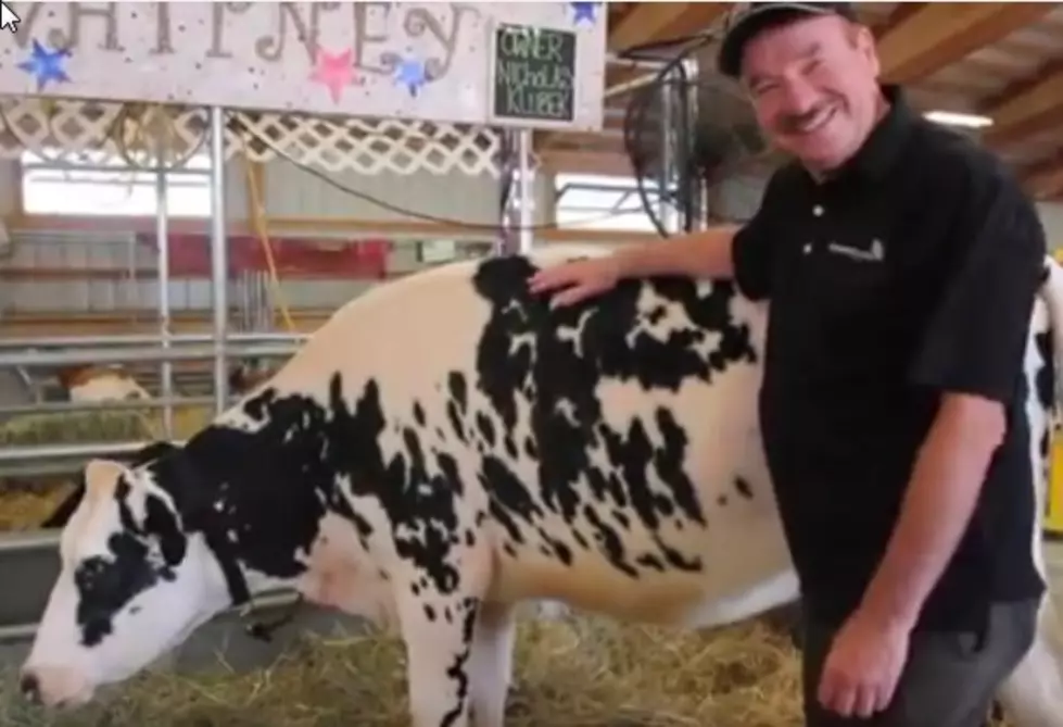 Dale’s Day at The Erie County Fair [VIDEO]